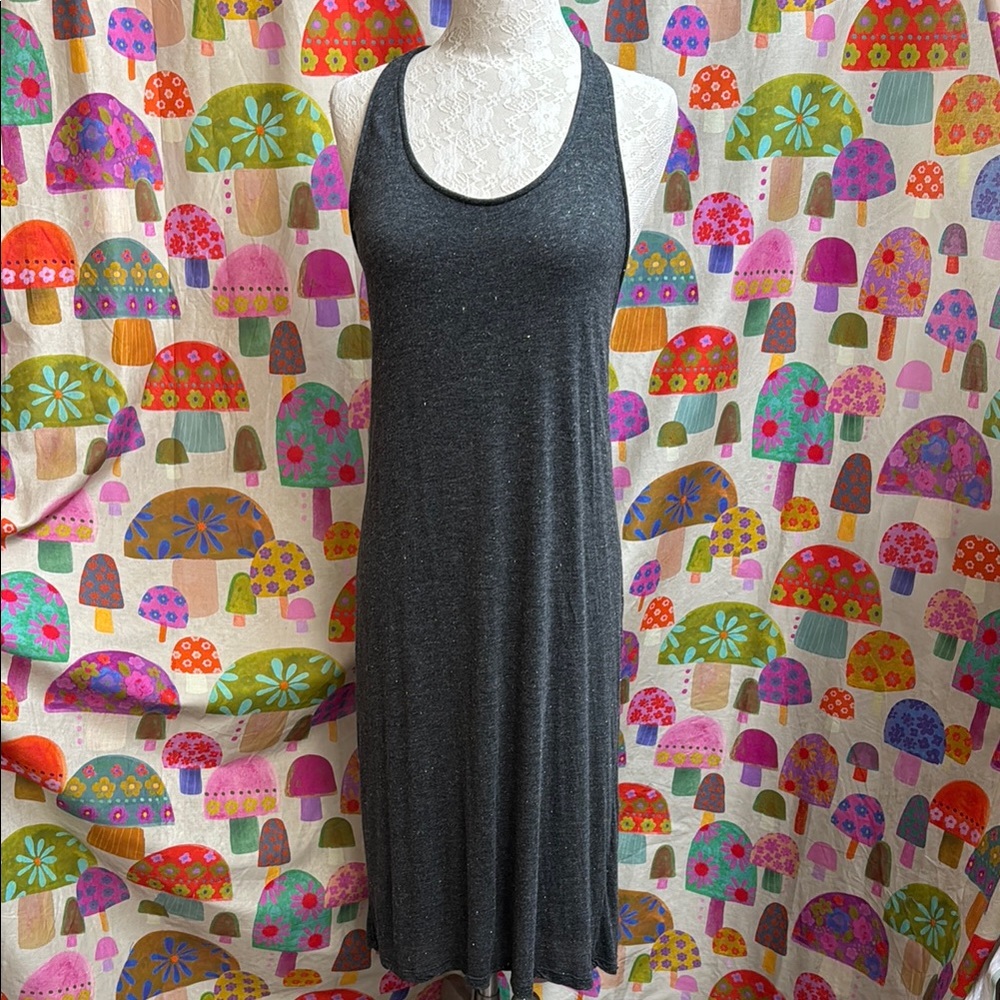 Splendid Maxi Dress. Medium